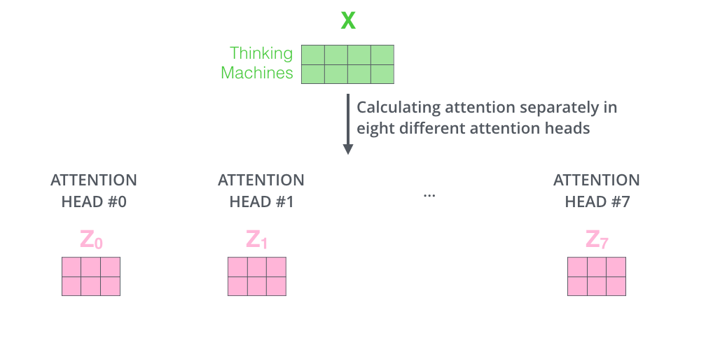 Multi-Head Attention outputs